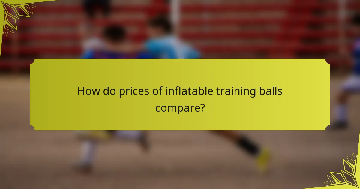 How do prices of inflatable training balls compare?