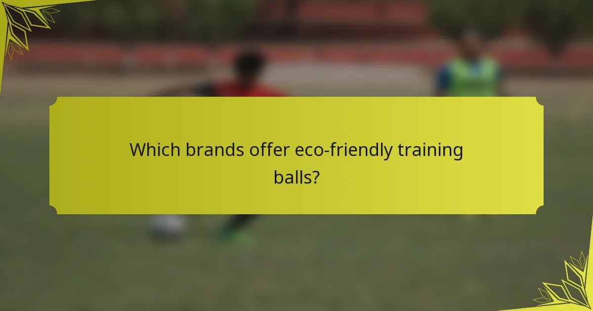 Which brands offer eco-friendly training balls?