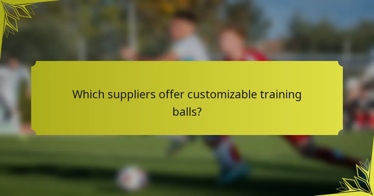 Which suppliers offer customizable training balls?